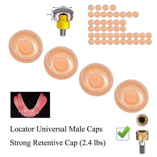Dental 4lbs pink peek - us,